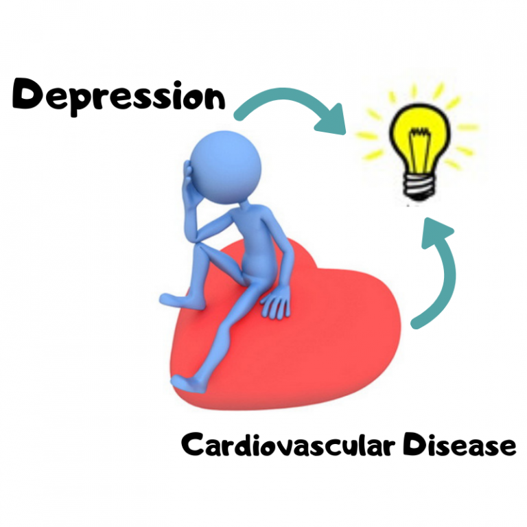 How Are Depression And Cardiovascular Disease Related To Each Other