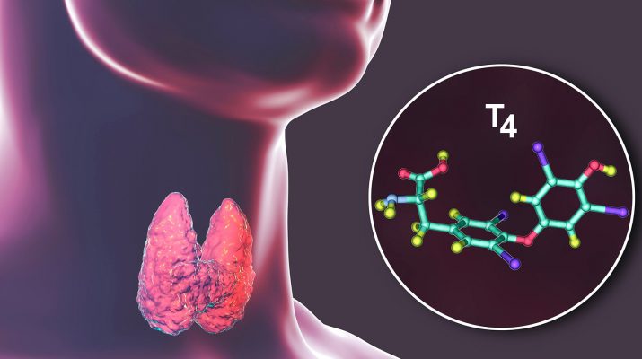 Thyroid Hormone Deficiency Treated
