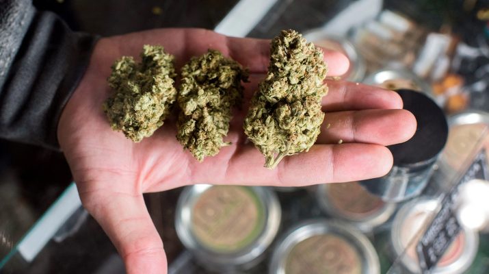Budtenders Concluded The Best Cannabis Strains