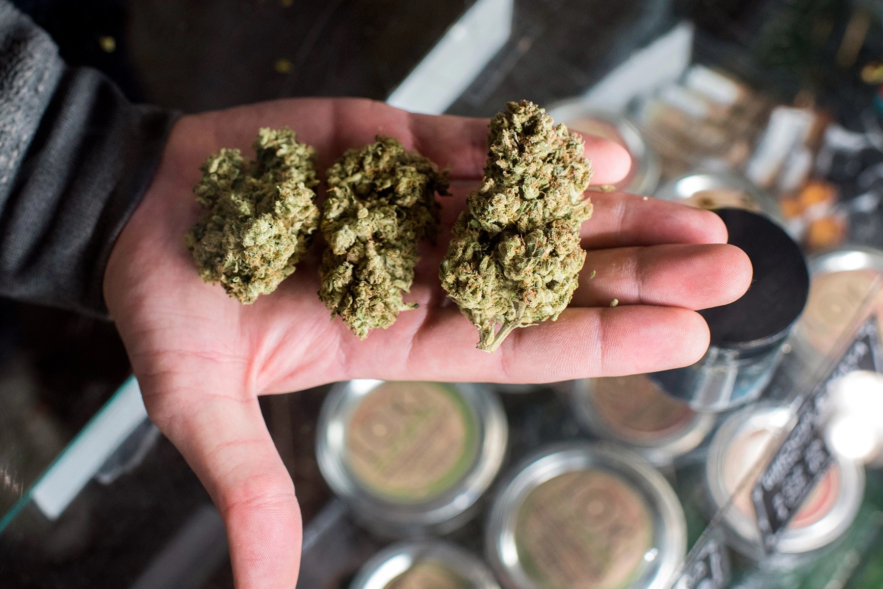 Budtenders Concluded The Best Cannabis Strains