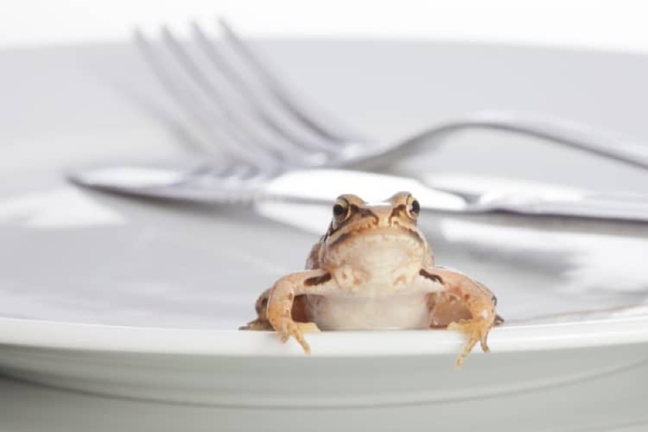 ‘Eat the Frog’ – Identify, Perform, and Repeat