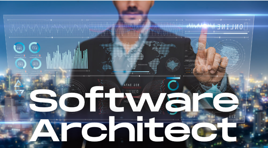 Software Interface Architect