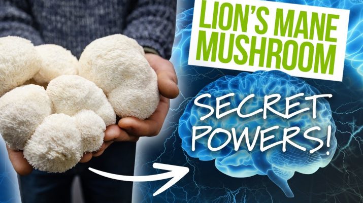 Health Benefits of Lion's Mane