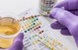 V2 Topic CBD and Drug Tests