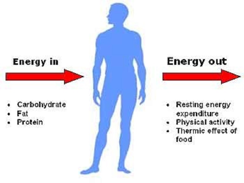 calories and nutrition