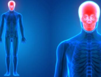 3D Illustration of Human Body Bone Joint Pains Anatomy (Skull)